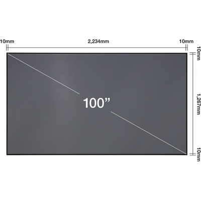 Epson 100