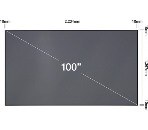 Epson 100