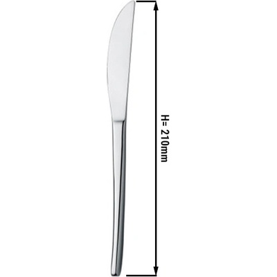 G Gastro Jídelní nůž Aleria D9777220 12 ks