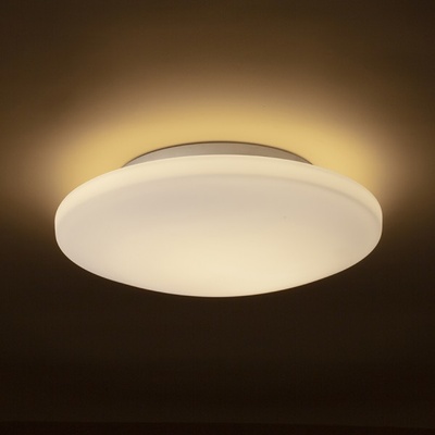 Rendl R13688