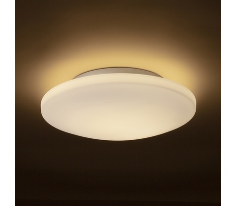 Rendl R13688