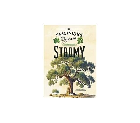 Stromy