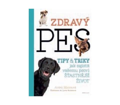 Zdravý pes