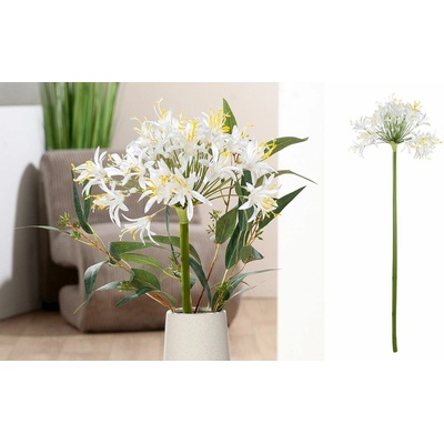 Gilde Gilde Umelý kvet Agapanthus "Arina"