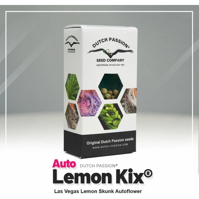 Dutch Passion AUTO Lemon Kix semena neobsahují THC 3 ks