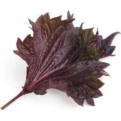 Veritable Вложка за семена Lingot Smaki Azji червена перила (VLIN-S5-Shi033)