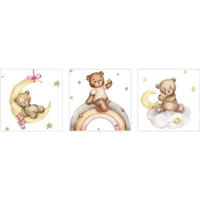 Obraz na plátne Teddy 25x25 cm sada 3 ks
