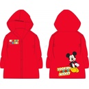 Eexee Mickey Mouse