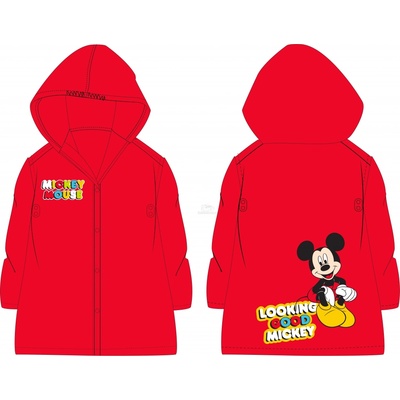 Eexee Mickey Mouse