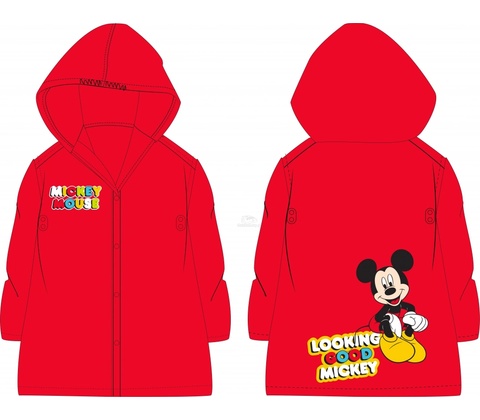 Eexee Mickey Mouse