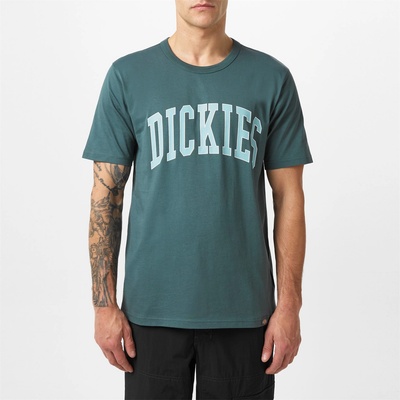 Dickies Тениска Dickies Aitkin T-shirt - Grn/Srf Bl