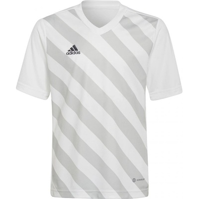 adidas Entrada 22 Graphic Jersey Jr HF0120
