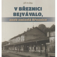 V Březnici bejvávalo, aneb zmizelá Březnice (Jiří Krůta)
