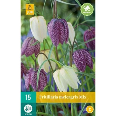 JUB HOLLAND Cibule řebčíku Fritillaria meleagris MIX - 15 kusů