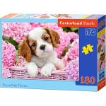 Castorland Пъзел Castorland от 180 части - Кученце (B-018185) - ozone