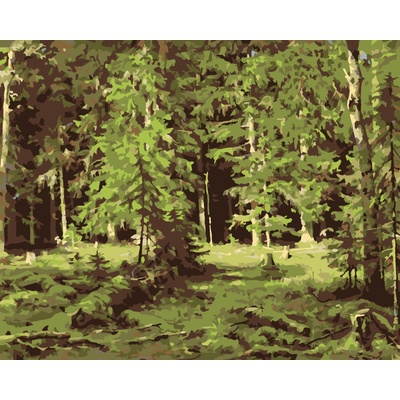 ZUTY Malování podle čísel LES IVAN SHISHKIN 40 x 50 cm