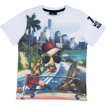 Chicco Boys Tee Multicolor Printed - 104