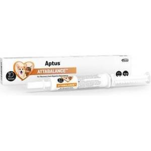 Aptus Attabalance паста 15 ml - abc-zoo