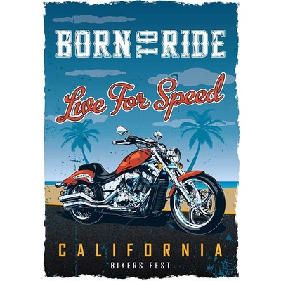 Ceduľa Born to Ride - Live For Speed