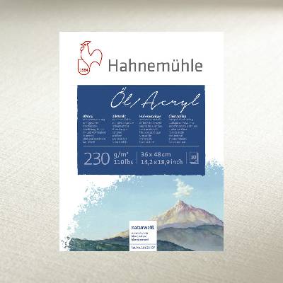 Hahnemühle Skicár 24 x 32cm na akryl a olej lepená väzba 230g/m2 10 listov