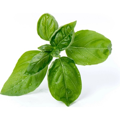 Veritable semenná vložka Lingot bazalka