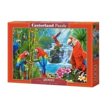 Castorland 2000-piece puzzle C-200870 Parrot Meeting