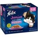 Felix Junior Fantastic lahodný výběr v želé 12 x 85 g