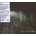 Headlight Serenade - Triosk CD
