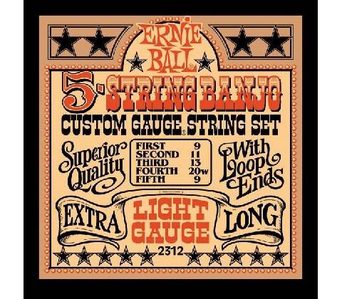 ERNIE BALL 2312