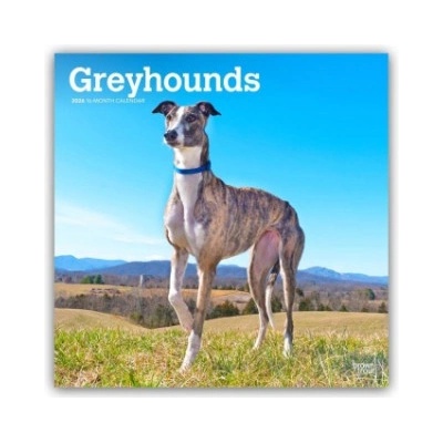 Browntrout Verlags GmbH Greyhounds - Windhunde 2026 - 16-Monatskalender | BrownTrout Publishers Inc