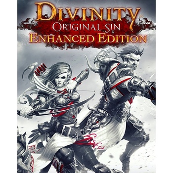 Divinity Original Sin