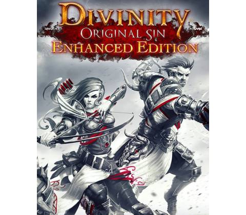Divinity Original Sin