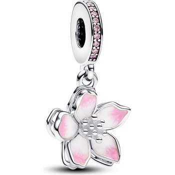 Pandora 790667C01