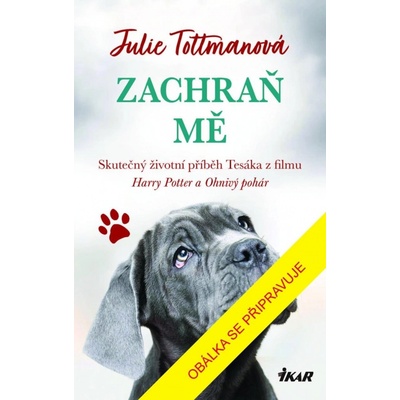 Zachraň mě - Tottmanová Julie
