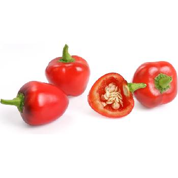 Veritable Вложка за семена Lingot мини зеленчуци мини червена чушка (VLIN-L5-Poi017)