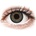 Alcon FreshLook One Day 10 pcs