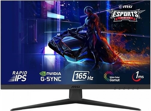 MSI Gaming Optix G251F od 258,37 € - Heureka.sk