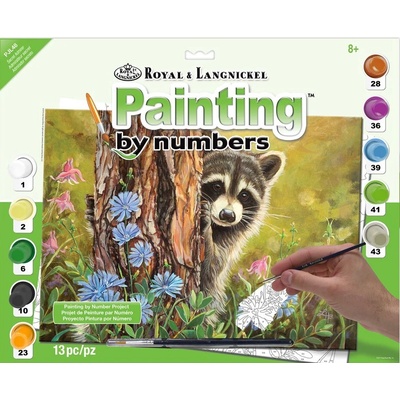 Royal Langnickel Malování podle čísel Tajný ctitel