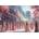 Educa - Puzzle The Geishas - 1 000 piese