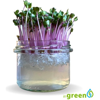 inWeek Microgreens semínka ve skleničce 5x absorbent + 5x semínka amarant