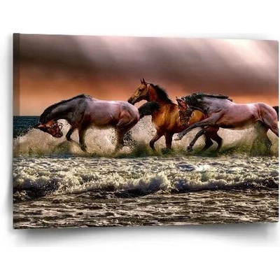 Sablio Obraz Koně ve vodě - 60x40 cm