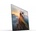 Sony Bravia KD-55A1