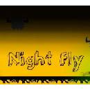 Night Fly