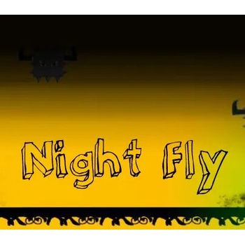 Night Fly