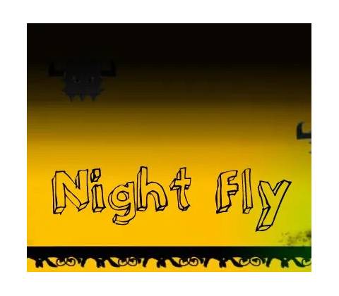 Night Fly