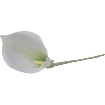 KALA vázová BIELO-ZELENÁ 70cm