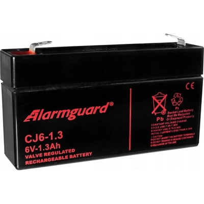 ALARMGUARD 6V 12Ah CJ6-12
