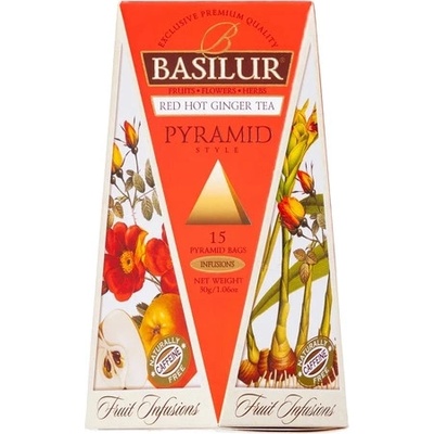 BASILUR Fruit Red Hot Ginger Pyramid 15 x 2 g