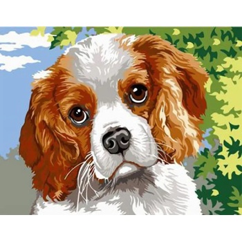 Norimpex - Puzzle Diamant painting: Dog eyes 30x40cm - 1 - 39 piese