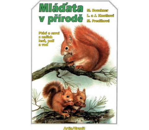 Mláďata v přírodě